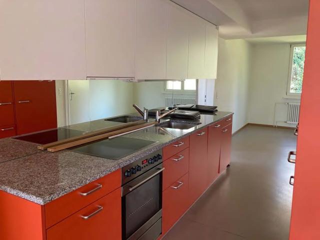 Rent a 3 ½ rooms apartment in Zürich Flatfox