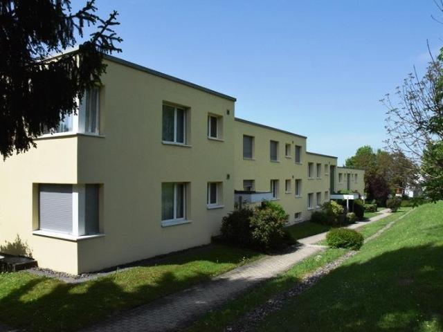 Rent a 3 ½ rooms apartment in Zürich Flatfox