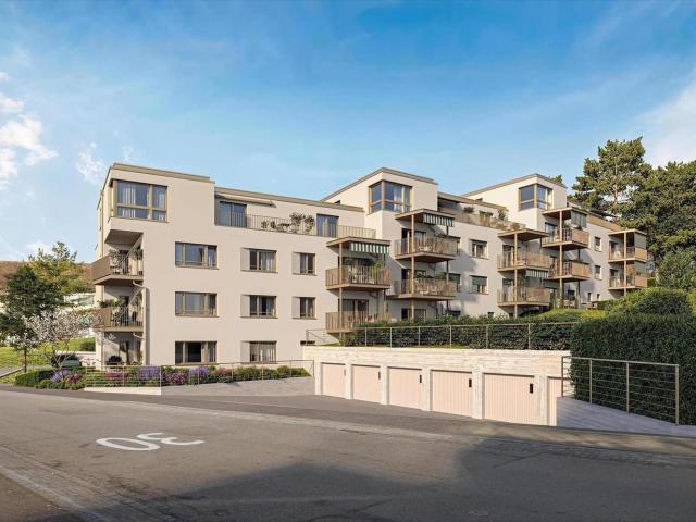 Rent a 3 ½ rooms apartment in Zürich Flatfox