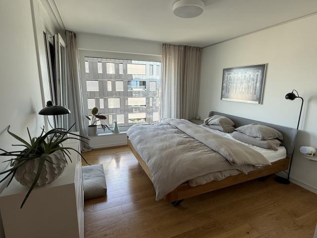 Rent a 3 ½ rooms apartment in Zürich Flatfox