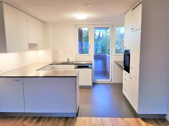 Rent a 3 ½ rooms apartment in Zürich Flatfox