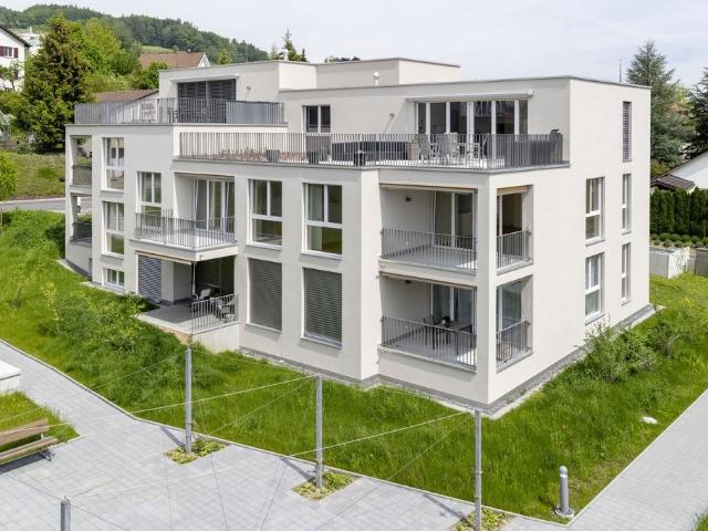Rent a 3 ½ rooms attic flat in Beinwil am See Flatfox