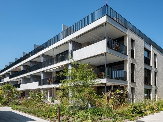 Rent a 3 ½ rooms attic flat in Bremgarten AG Flatfox