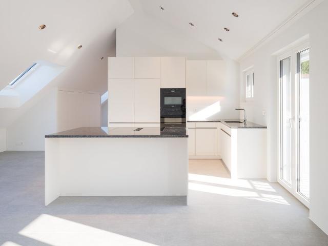 Rent a 3 ½ rooms attic flat in Luzern Flatfox