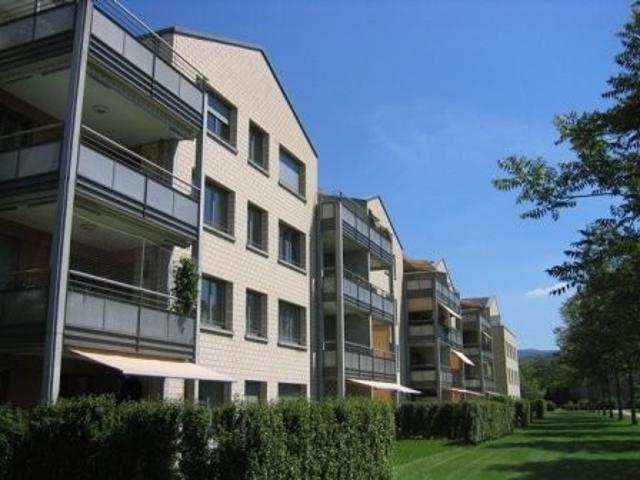 Rent a 3 ½ rooms duplex in Aesch Flatfox