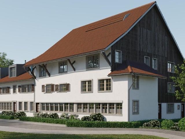 Rent a 3 ½ rooms duplex in Dübendorf Flatfox