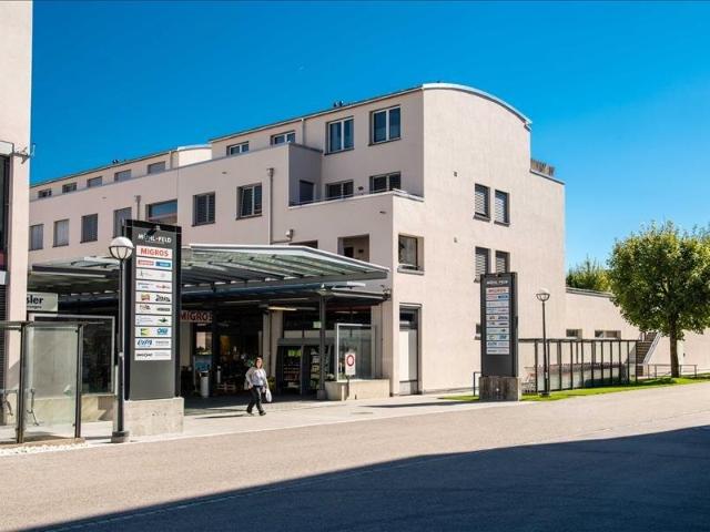 Rent a 3 ½ rooms duplex in Oensingen Flatfox