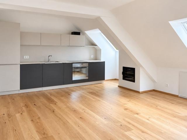 Rent a 3 rooms duplex in Zürich Flatfox