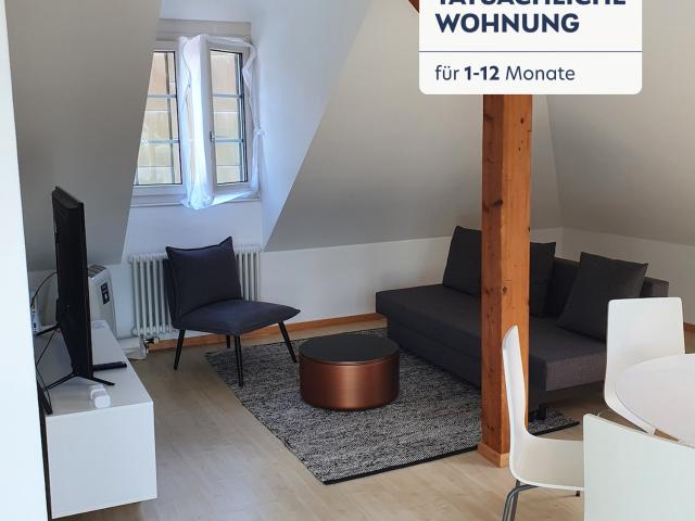 Rent a 3 rooms furnished flat in Zug Flatfox