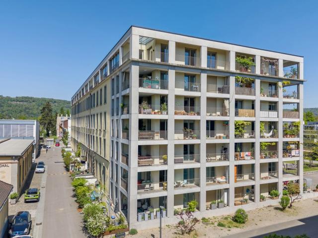 Rent a 3 ½ rooms loft in Windisch Flatfox