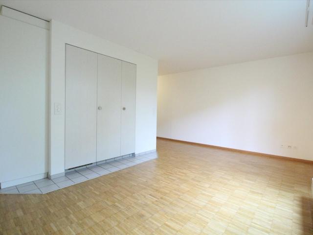 Rent a 1 room apartment in Wangen b. Olten Flatfox