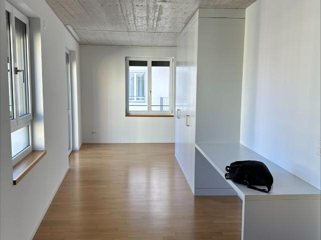Rent a 1 room apartment in Zurich Flatfox