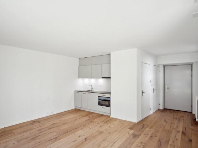Rent a 1 room apartment in Zürich Flatfox