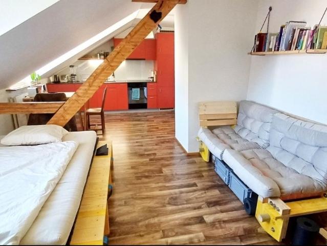 Rent a 1 room apartment in Allschwil Flatfox