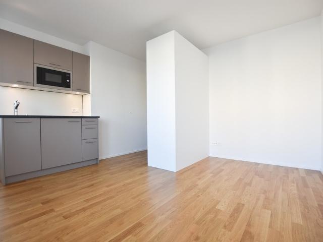 Rent a 1 room apartment in Bern Flatfox