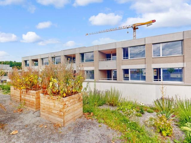 Rent a 1 room apartment in Emmenbrücke Flatfox