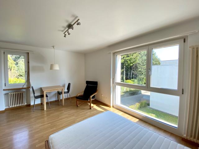 Rent a 1 room apartment in Grenchen Flatfox