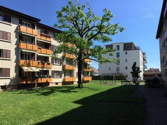 Rent a 1 room apartment in Lenzburg Flatfox