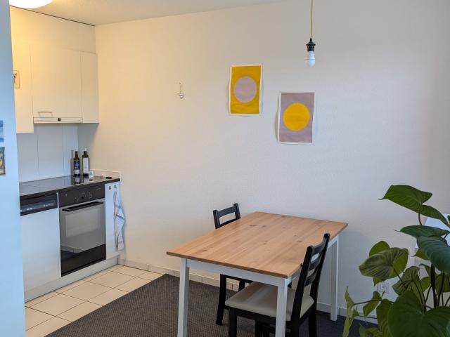 Rent a 1 room apartment in Luzern Flatfox