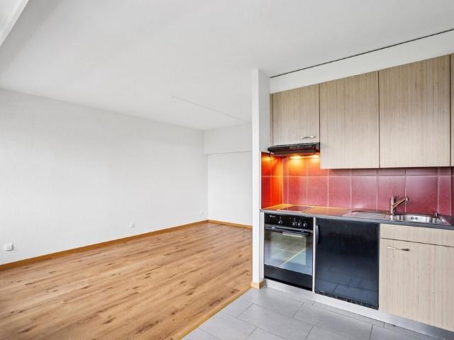 Rent a 1 room apartment in Neuchâtel Flatfox