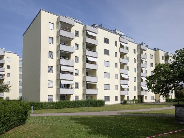 Rent a 1 room apartment in Oftringen Flatfox