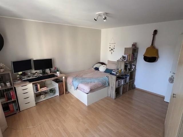 Rent a 1 room apartment in Olten Flatfox