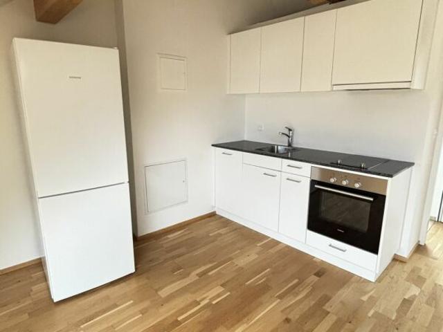 Rent a 1 room apartment in Riehen Flatfox