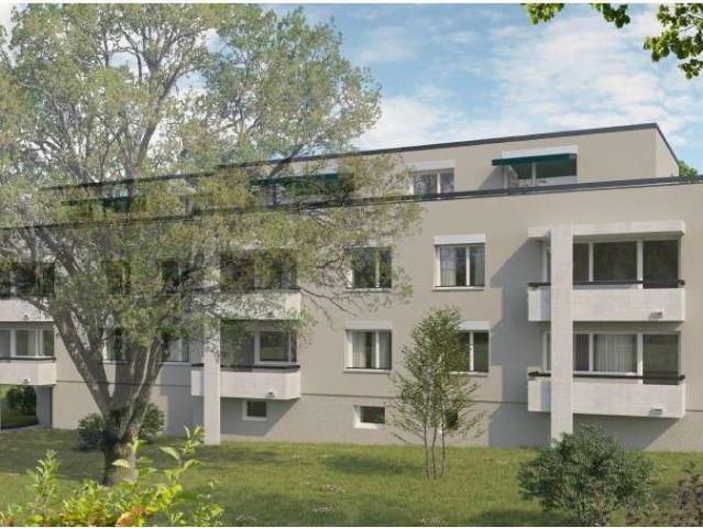 Rent a 1 room apartment in Riehen Flatfox