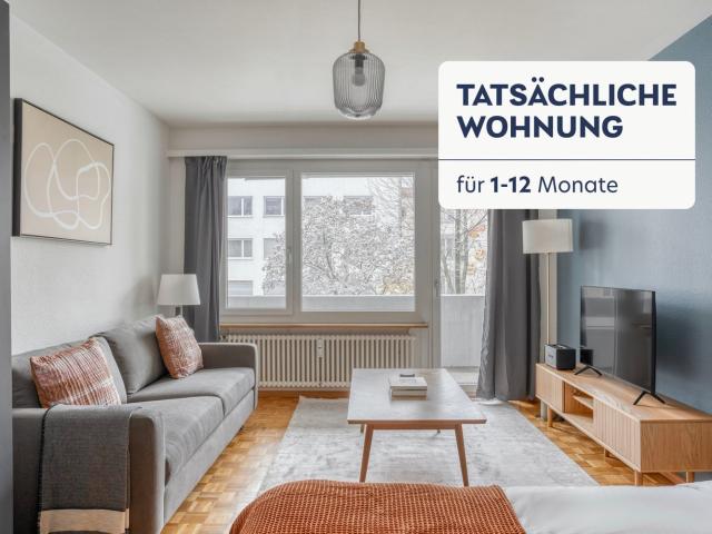 Rent a 1 room furnished flat in Basel Flatfox