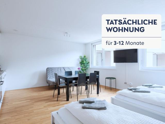 Rent a 1 room furnished flat in Basel Flatfox