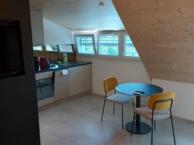 Rent a 1 room furnished flat in Rümlang Flatfox