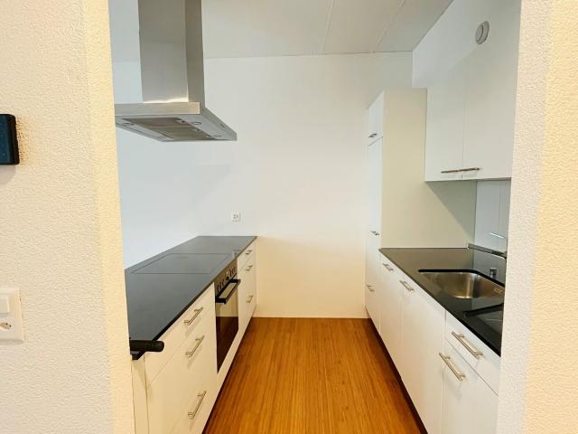 Rent a 1 room loft in Biel Flatfox