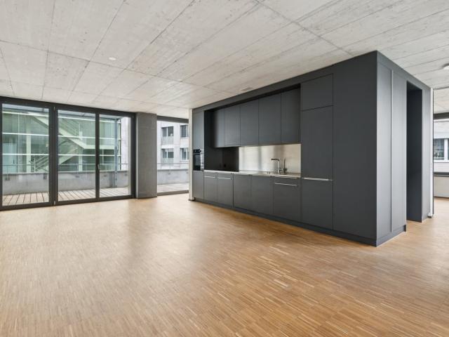 Rent a 1 room loft in Emmenbrücke Flatfox