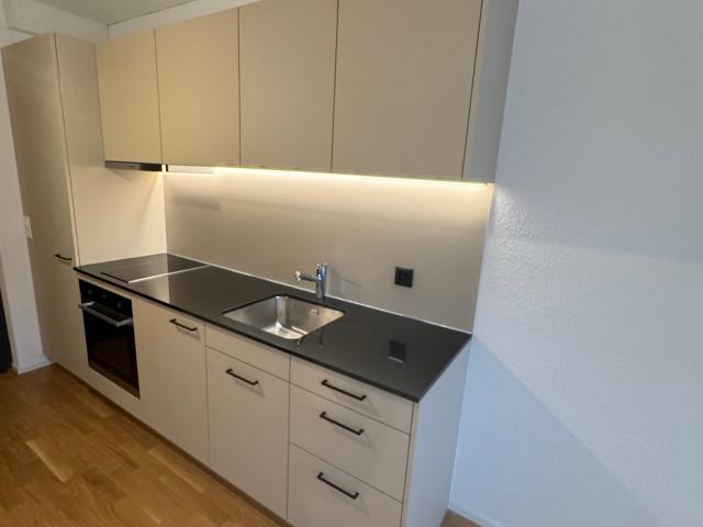 Rent a 1 room studio in Rebstein Flatfox