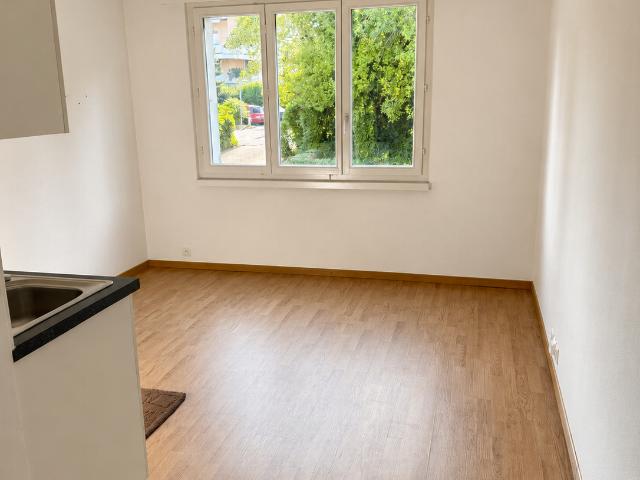 Rent a 1 room studio in Schlieren Flatfox