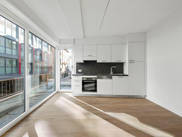Rent a 1 room single room in Lugano Flatfox