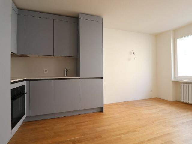 Rent a 1 ½ rooms apartment in Basel Flatfox