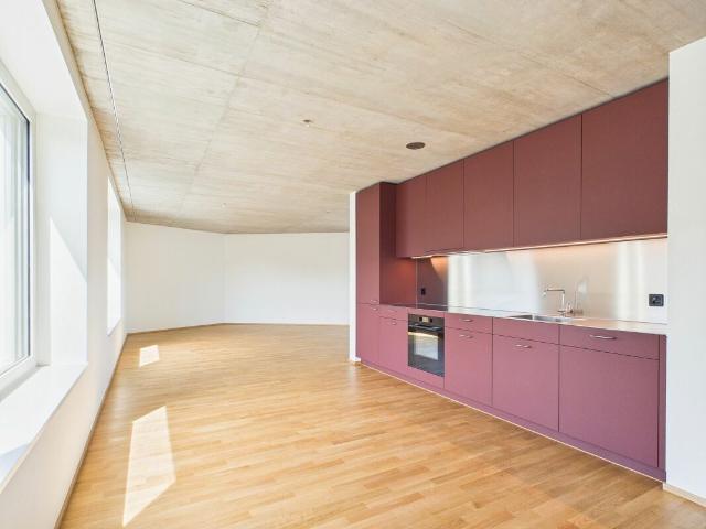 Rent a 1 ½ rooms apartment in Basel Flatfox