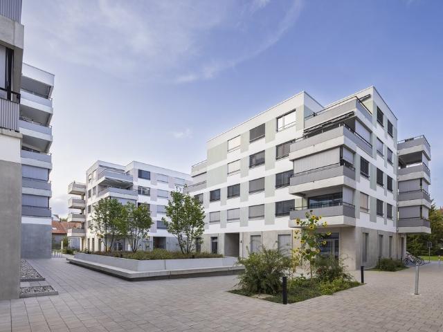 Rent a 1 ½ rooms apartment in Biberist Flatfox