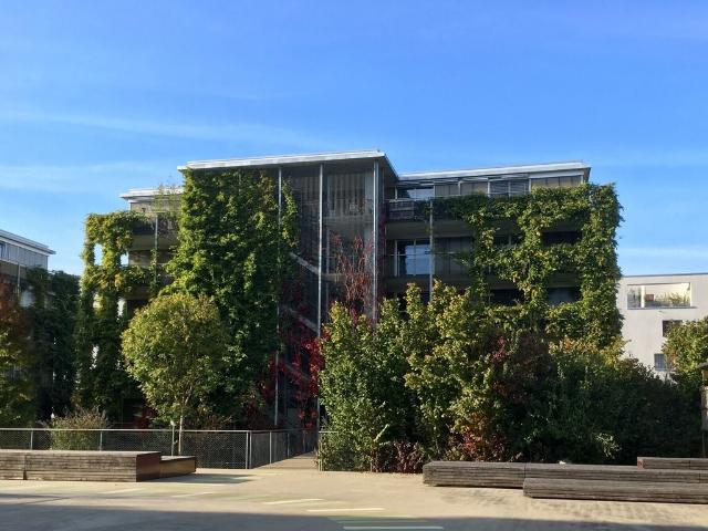 Rent a 1 ½ rooms apartment in Bülach Flatfox