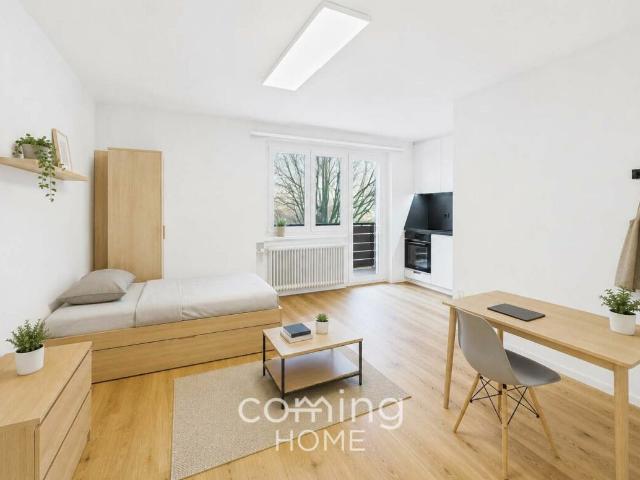 Rent a 1 ½ rooms apartment in Leukerbad Flatfox