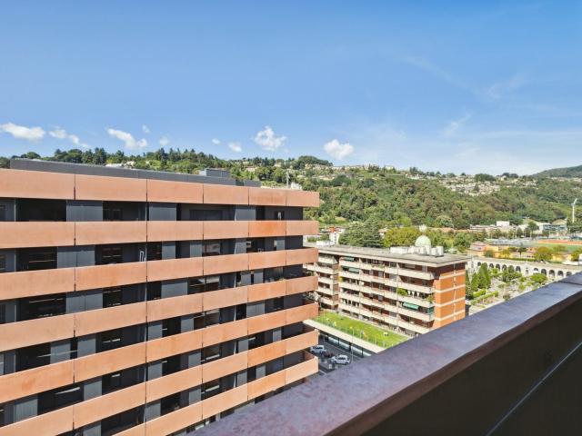 Rent a 1 ½ rooms apartment in Lugano Flatfox