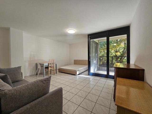Rent a 1 ½ rooms apartment in Lugano Flatfox