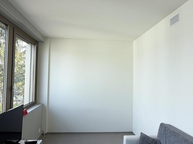 Rent a 1 ½ rooms apartment in Steinhausen Flatfox
