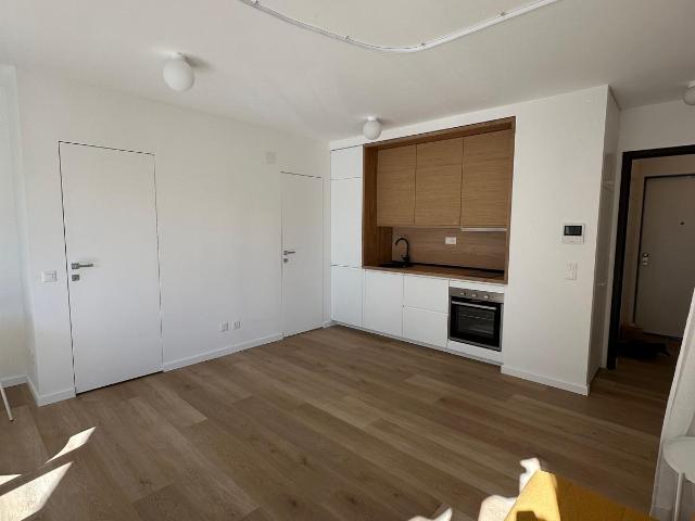 Rent a 1 ½ rooms apartment in Paradiso Flatfox