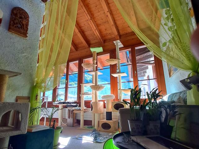 Rent a 1 ½ rooms apartment in Rovio Flatfox