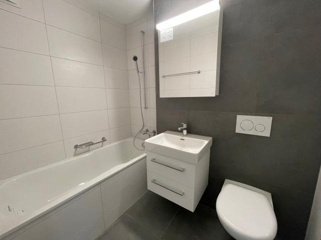 Rent a 1 ½ rooms apartment in Thun Flatfox