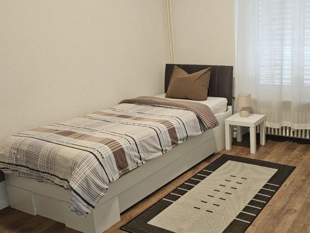 Rent a 1 ½ rooms furnished flat in Basel Flatfox