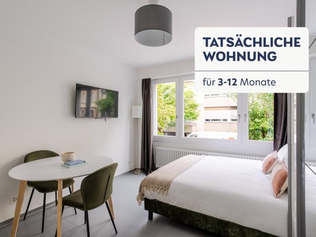 Rent a 1 ½ rooms furnished flat in Basel Flatfox