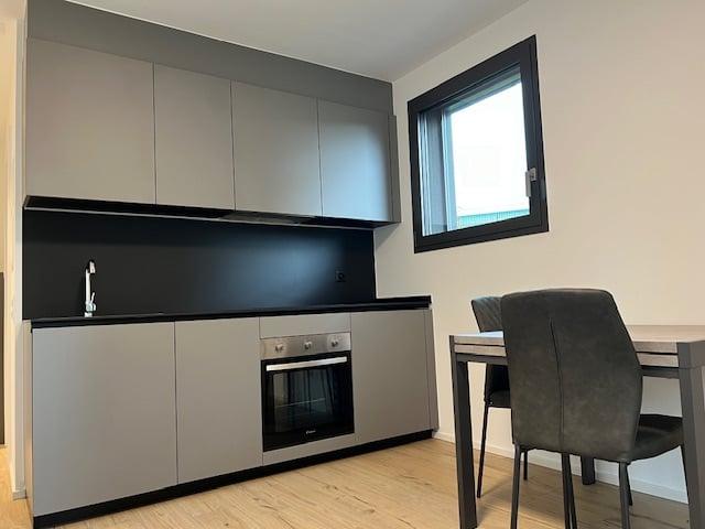 Rent a 1 ½ rooms furnished flat in Breganzona Flatfox